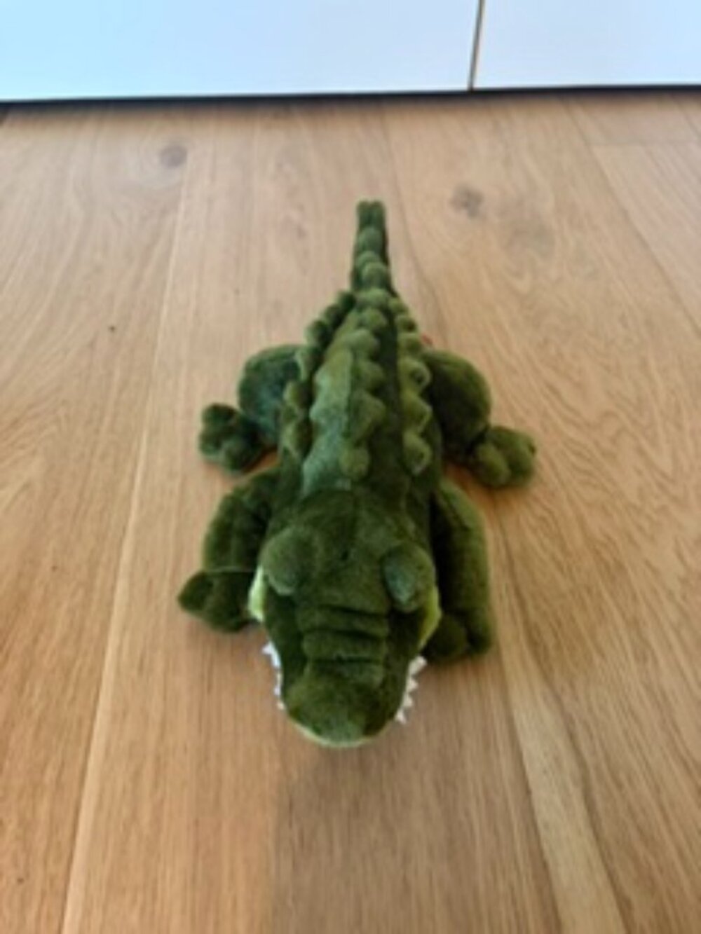 Adventure Planet Crocodile